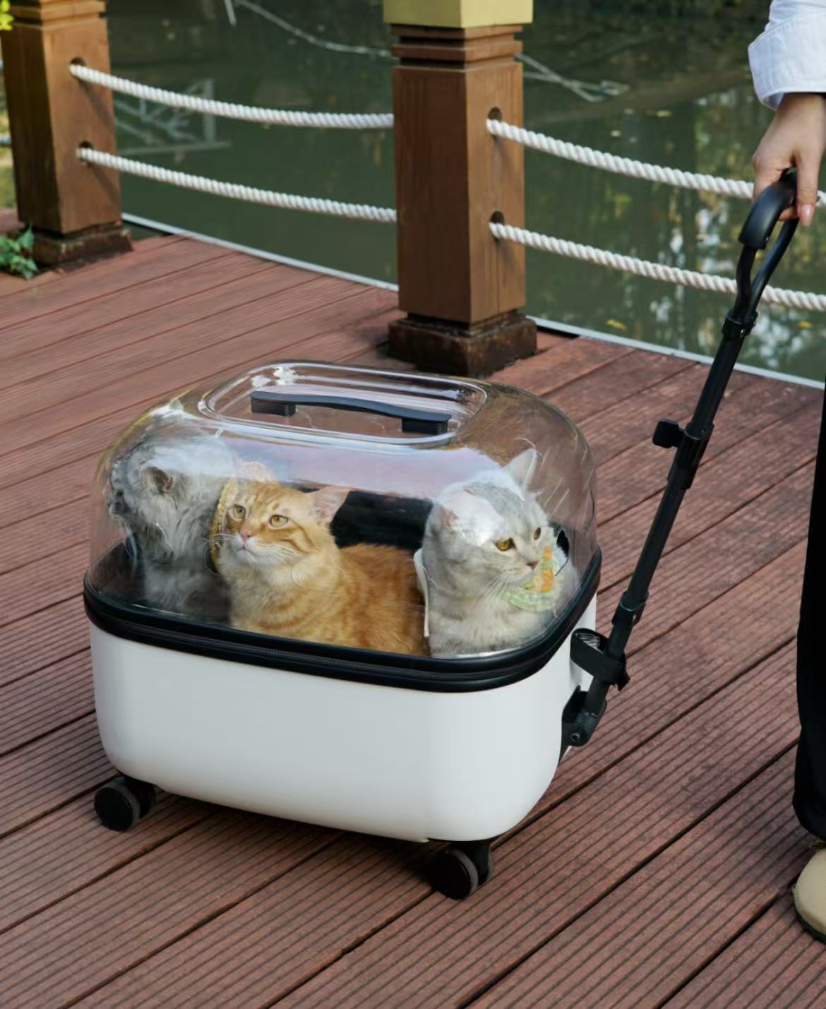 "Minimalist Pet Mobility Pod | 🪐 Curated for Modern Aesthetics🏙️ For City-Savvy Pet Parents